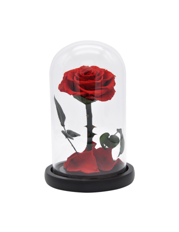 Rose éternelle en coffret...